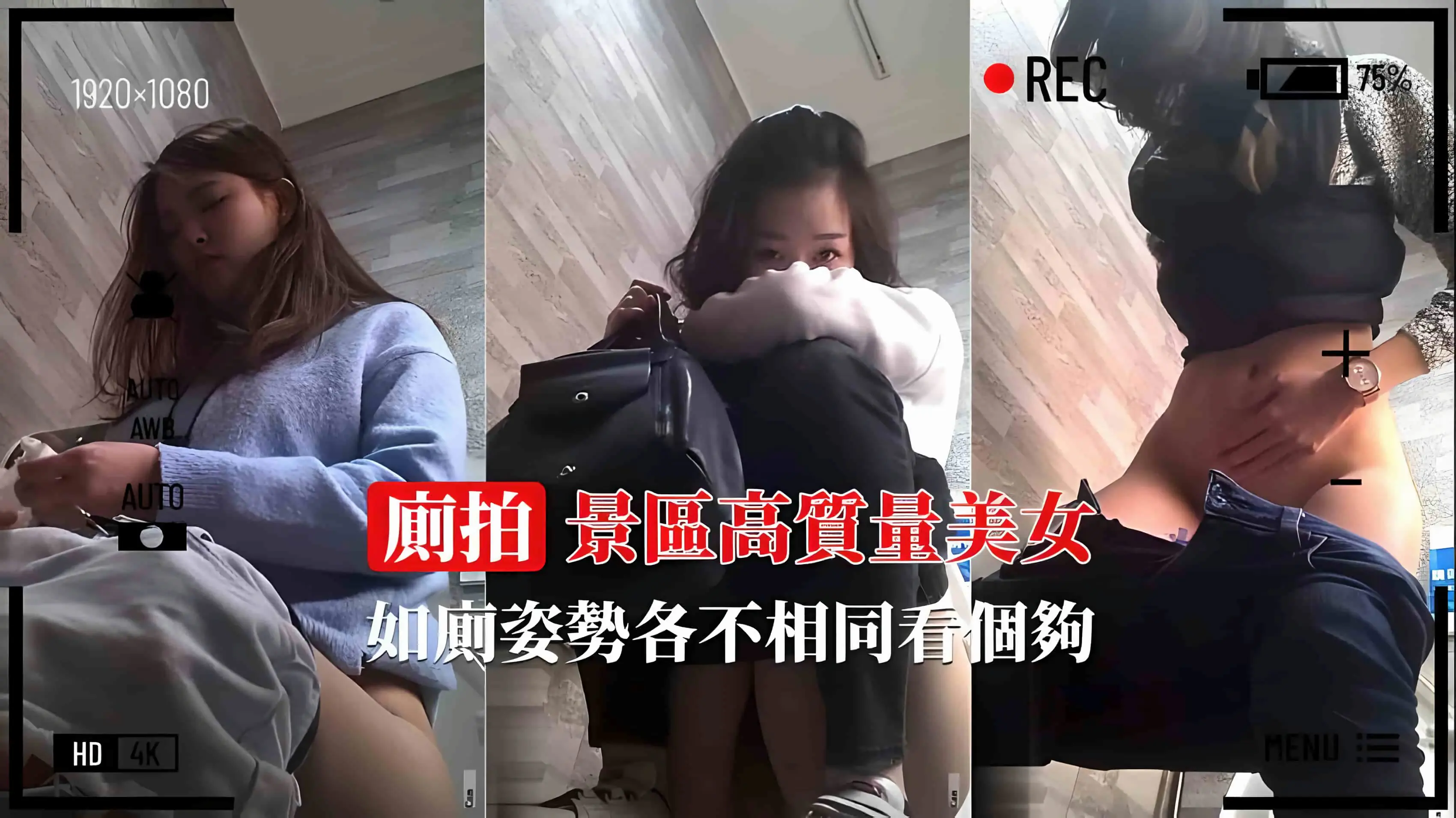 偷拍景区厕所 极品美女如厕姿势大赏 高清无码